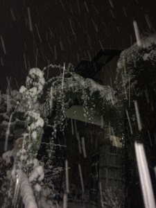 大雪