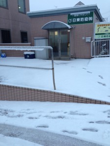 久しぶりの雪