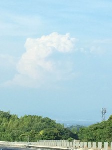 IMG_1968