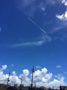 梅雨の合間の。