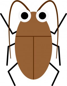 ゴキブリのお勉強　その11