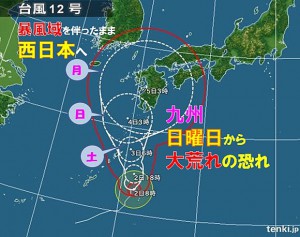 殺虫剤について