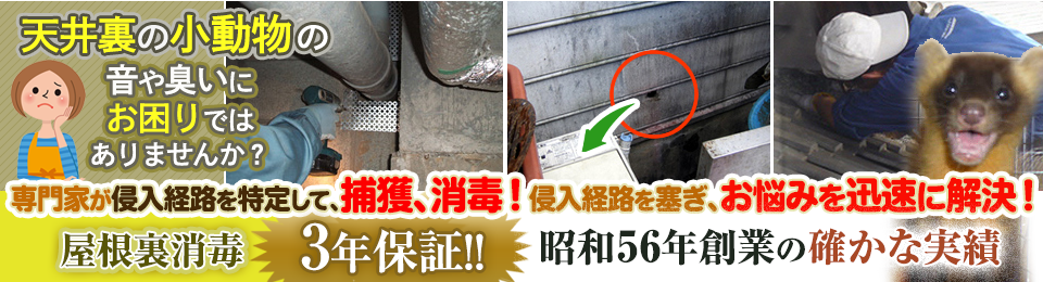 天井裏や小動物の音や匂いにお困りではありませんか？