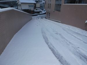 雪が降ると大騒ぎ