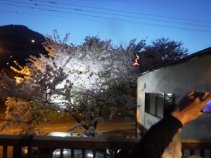 日東防疫（株）　お花見会からのゴルフコンペ