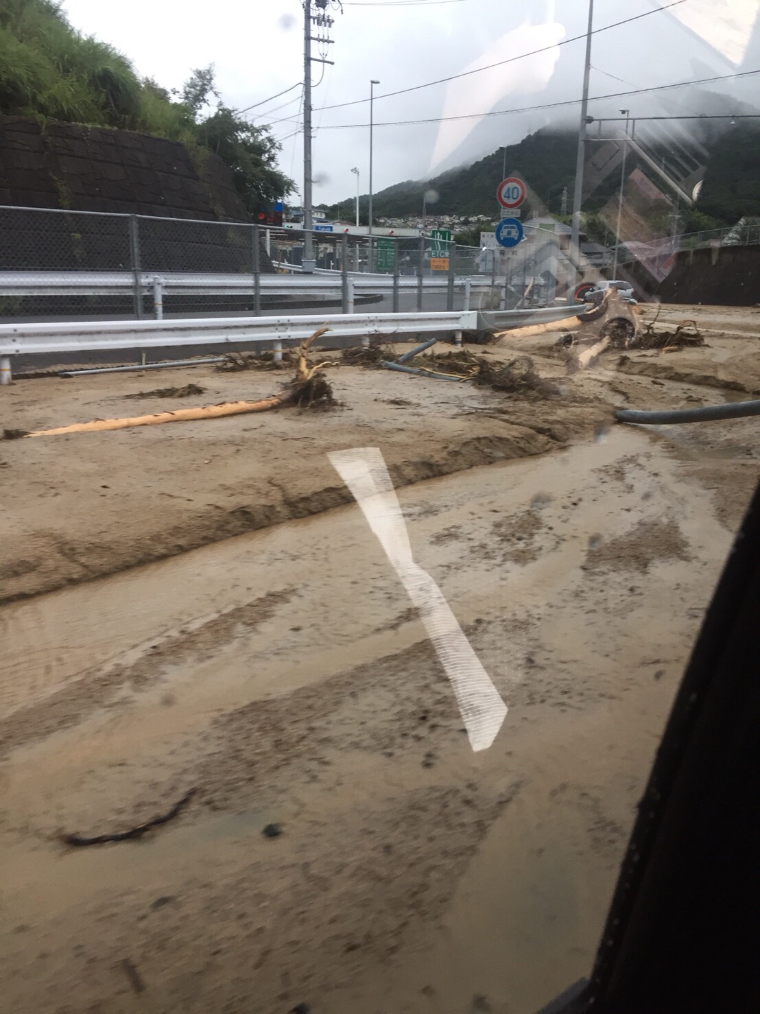 豪雨〜梅雨明け〜ハチ駆除