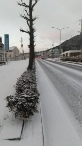 大雪に新型コロナウイルスの猛威