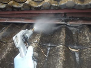 ムカデやゲジが活動しています。庭の手入れ時に注意。