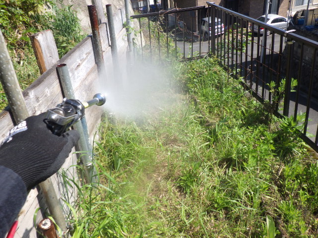 広島県広島市安佐北区可部　ムカデの駆除