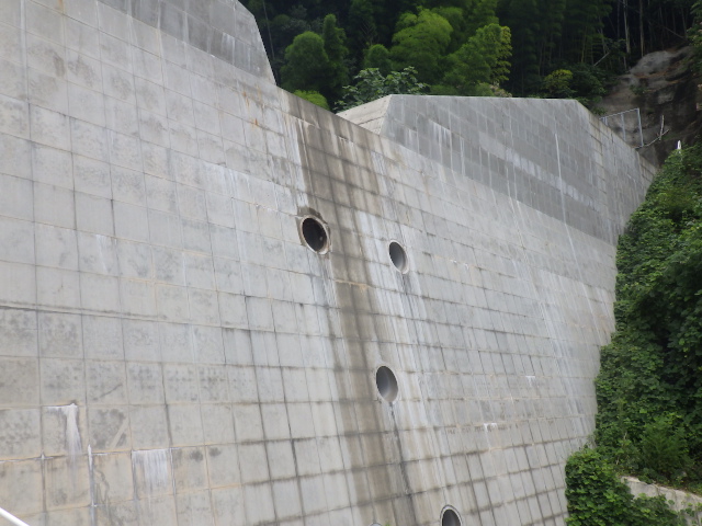 広島県竹原市竹原　スズメバチ駆除