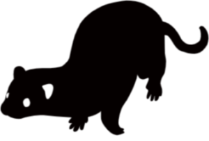 害獣・害虫たちのライバル奮闘記
