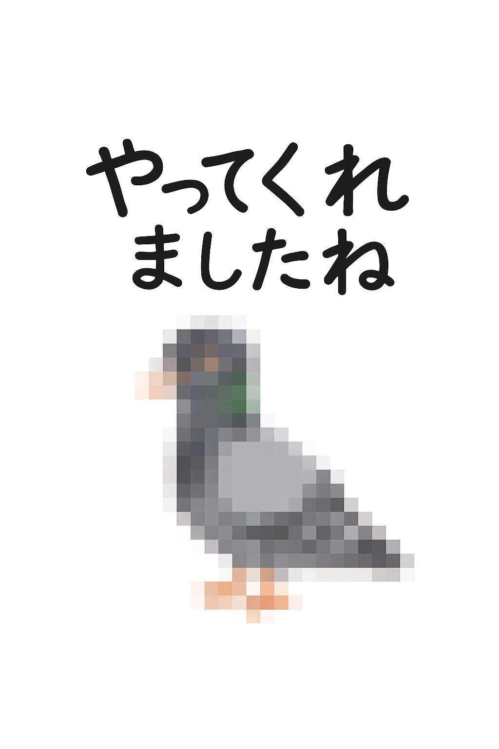ハトと闘いました。ハト苦手派の叫び！