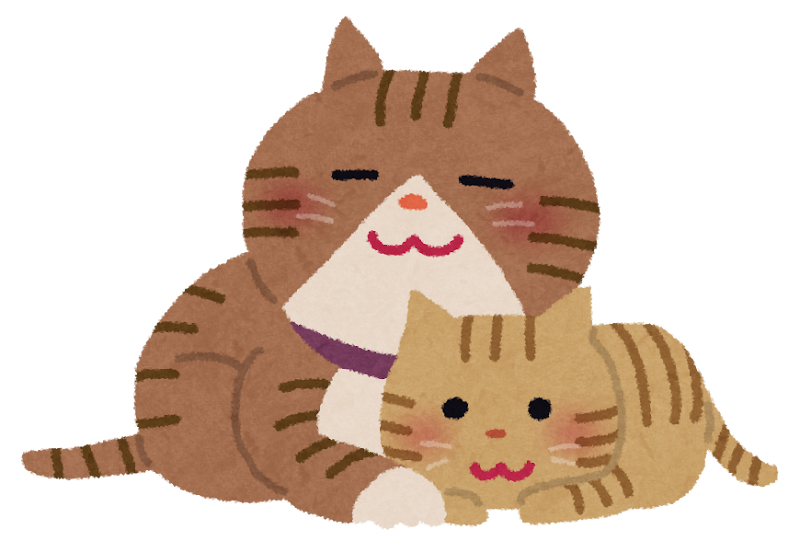 傾聴と寄り添い