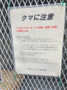 やっぱり出ました。