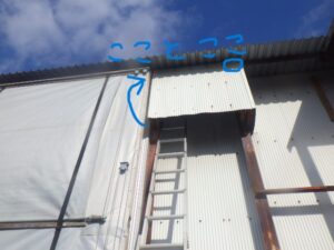 ゼロからイチを作る力！！！