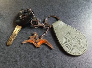 シロアリ大国？大分県。