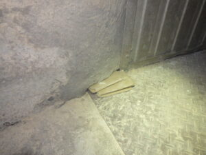 五円？御縁？御苑？魚群！？