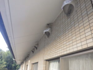 東区福田で鳥の巣撤去