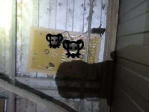 頑張ったんだろうな(@_@)