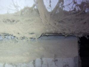 スパイドゥ～マン🕷