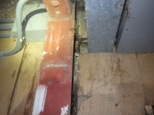 クマネズミ日記！！