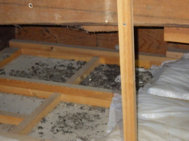 【実例】日本家屋にイタチ侵入…工務店の点検で発覚した断熱材破壊と天井裏被害の実例（広島県北広島町）