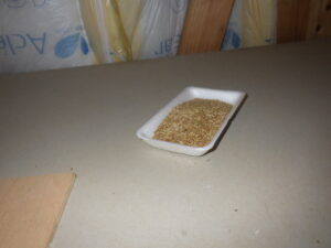 一年ぶりのご訪問。