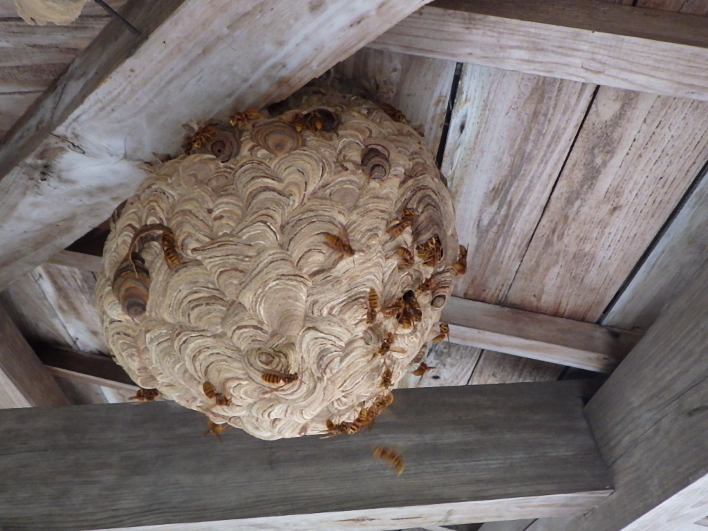 土居さん、始動。