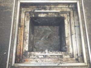 気付かない内に繁殖。