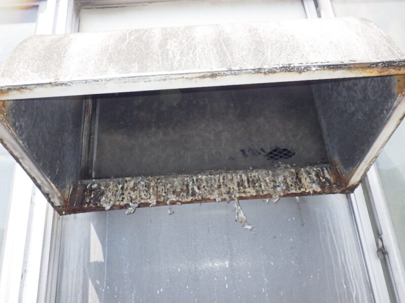 カワラバト、侵入被害防止対策。