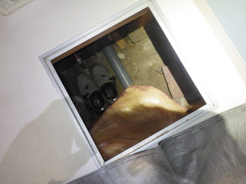 広島市中区、床下にイタチ侵入