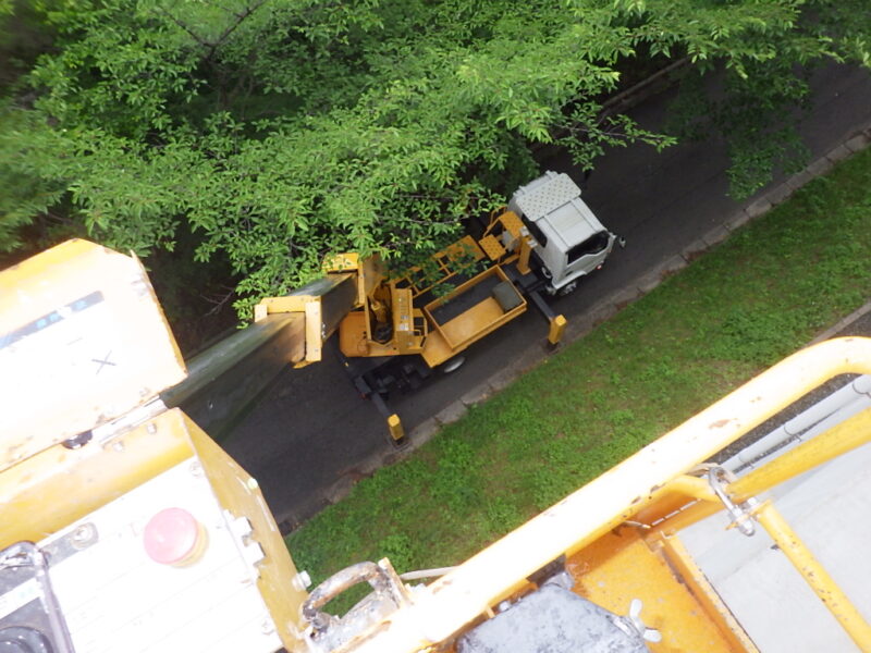 高所の蜂駆除！
