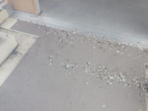 安芸郡熊野町でハトのフン清掃。