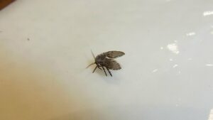 厨房内での危険性。