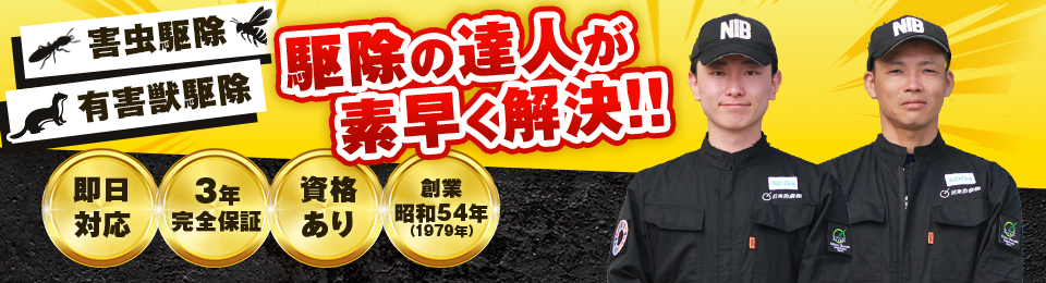 天井裏や小動物の音や匂いにお困りではありませんか？